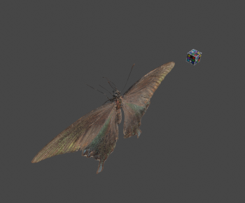 Modern Flying Animals-ID:597074995