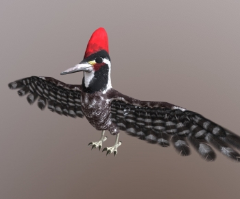 Modern Robot-ID:819873097