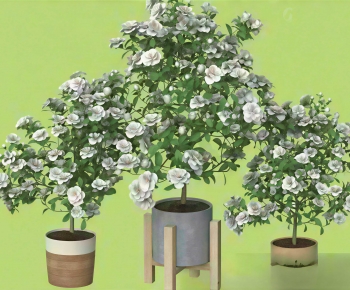 Modern Ground Green Plant Potted Plants-ID:150110016