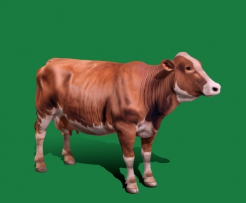 Modern Mammal-ID:703969048