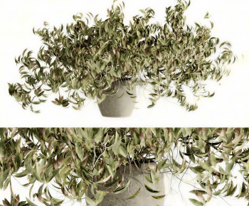 Modern Potted Green Plant-ID:530324941