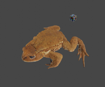 Modern Animal-ID:432847988