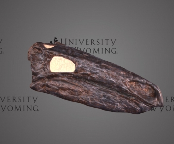 Modern Animal-ID:588198904