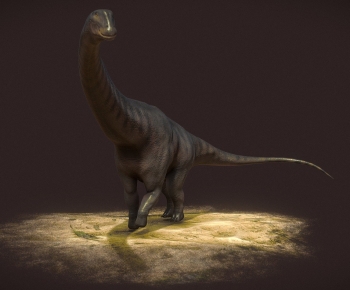 Modern Animal-ID:308276898