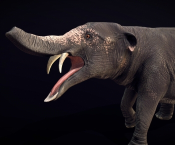 Modern Mammal-ID:409956934