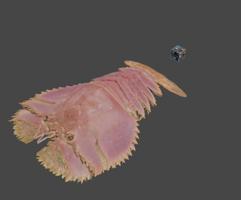 Modern Animal-ID:578747991