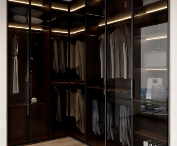 Modern Clothes Storage Area-ID:485755926
