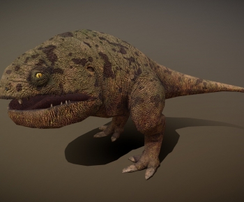 Modern Other Animals-ID:797859918