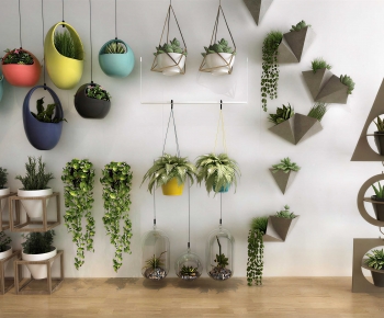 Modern Chlorophytum Comosum-ID:153601288