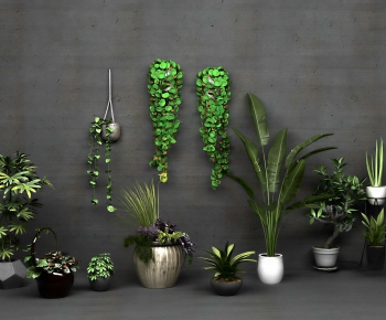 Modern Ground Green Plant Potted Plants-ID:832144984