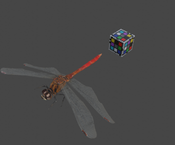 Modern Flying Animals-ID:103950518