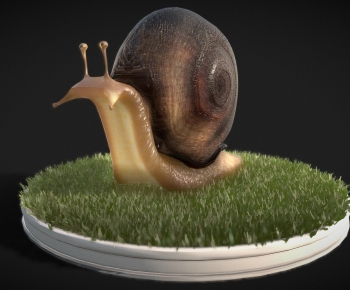 Modern Reptile-ID:643589971