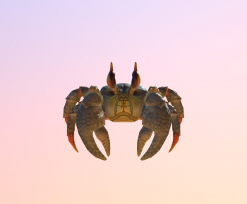 Modern Reptile-ID:886209013