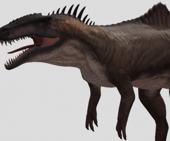 Modern Animal-ID:850564002