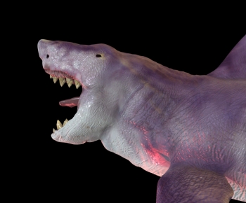 Modern Animal-ID:800594098