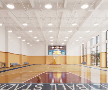 Modern Basketball Arena-ID:306364066