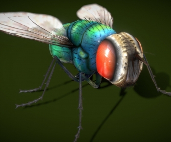 Modern Animal-ID:967370997