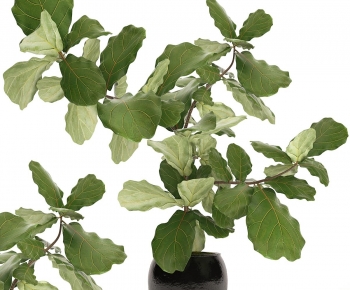 Modern Ground Green Plant Potted Plants-ID:123167996