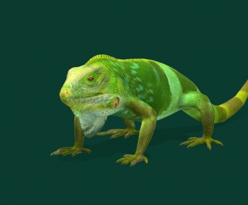 Modern Reptile-ID:796443945