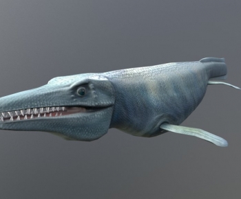 Modern Animal-ID:684567931