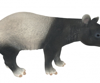 Modern Animal-ID:133157976