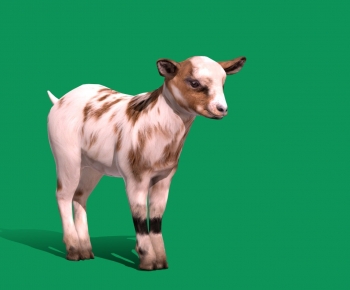 Modern Mammal-ID:542227033