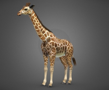 Modern Mammal-ID:654704095