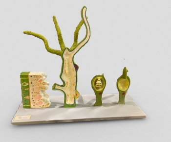 Modern Meichen-ID:482459073