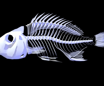 Modern Animal-ID:530031922