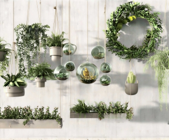 Modern Chlorophytum Comosum-ID:378670939