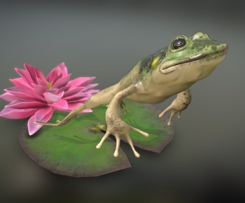 Modern Aquatic Animals-ID:458331121