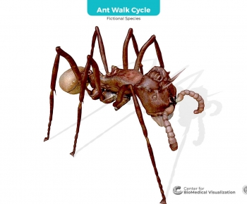 Modern Other Animals-ID:785074955