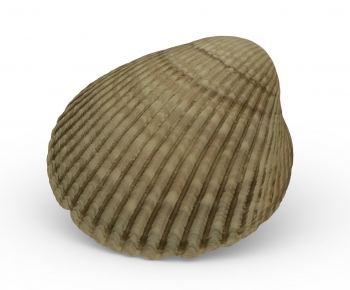 Modern Aquatic Animals-ID:415818935