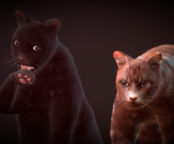 Modern Animal Cat-ID:733884107