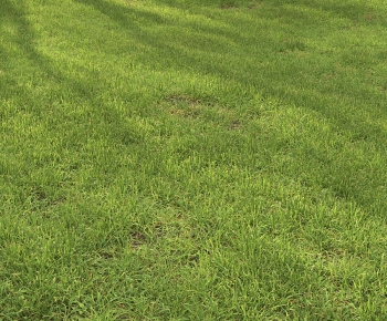 Modern The Grass-ID:677665952