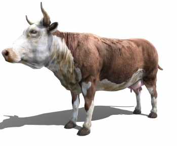 Modern Mammal-ID:270783904