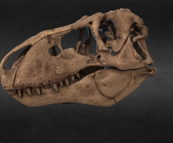 Modern Sculpture-ID:295825968