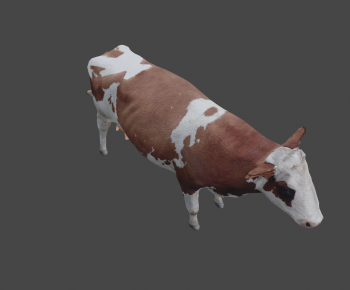 Modern Mammal-ID:609016908