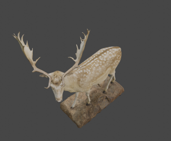 Modern Mammal-ID:602344044