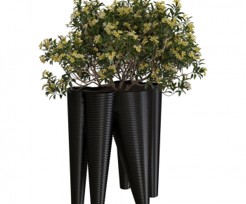 Modern Flower Bed, Flower Bowl, Flower Box-ID:109772925