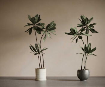 Modern Ground Green Plant Potted Plants-ID:688669786