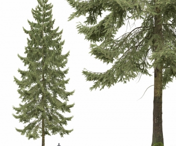 Modern Tree/shrub/grass-ID:222883946