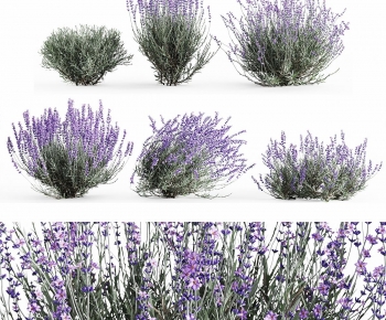 Modern Flowers And Grass-ID:950932985