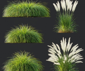 Modern The Grass-ID:944529068