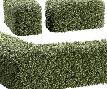 Modern Shrubbery-ID:535455949