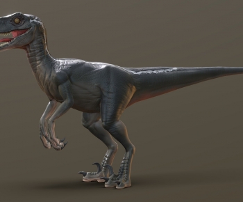 Modern Other Animals-ID:336337093