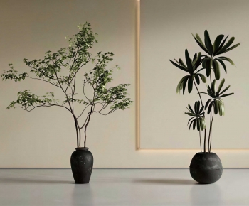 Wabi-sabi Style Ground Green Plant Potted Plants-ID:368630957