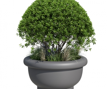 Modern Flower Bed, Flower Bowl, Flower Box-ID:128706931