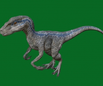 Modern Other Animals-ID:494360943