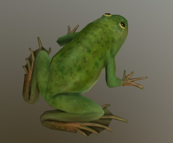 Modern Reptile-ID:310909037